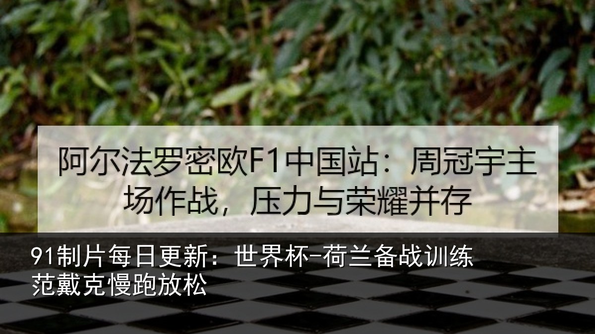 91制片每日更新:世界杯-荷兰备战训练范戴克慢跑放松