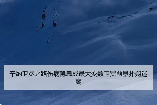 xin-na-wei-mian-zhi-lu-shang-bing-yin-huan-cheng-zui-da-bian-shu-wei-mian-qian-jing-pu-shuo-mi-li-2-598.jpg