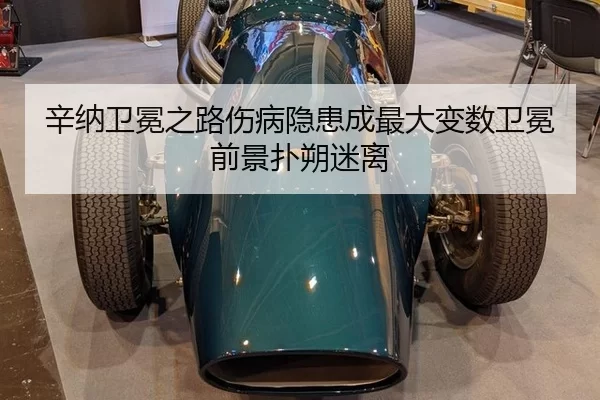 xin-na-wei-mian-zhi-lu-shang-bing-yin-huan-cheng-zui-da-bian-shu-wei-mian-qian-jing-pu-shuo-mi-li-3-449.jpg