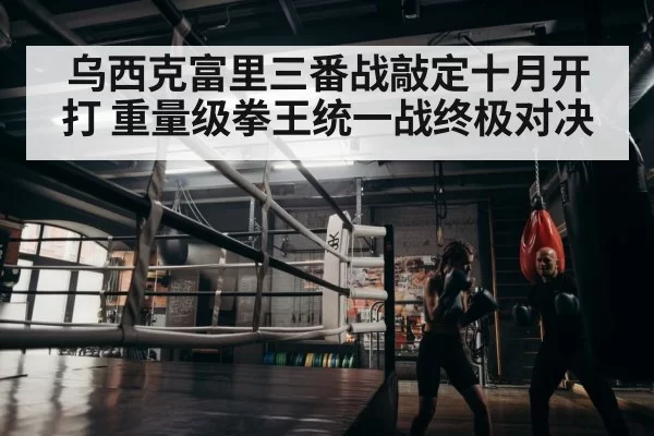 boxer training