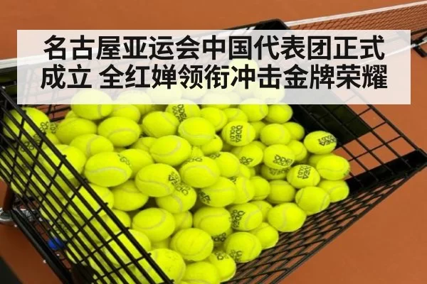 名古屋亚运会中国代表团正式成立 全红婵领衔冲击金牌荣耀
